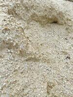 texture of sand on the beach photo