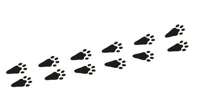 Hare paws. Animal foot traces. Hare black footprints on white background. Flat vector illustration. Design for print, decoration, childrens educational book