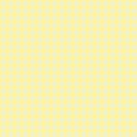 modern simple abstract seamlees white wine color rectangle check pattern on lemonade color background vector