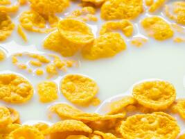 close - up of corn flakes in milk bowl. photo