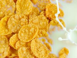 close - up of corn flakes in milk bowl. photo