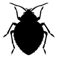 Bedbug insect silhouette. Vector illustration