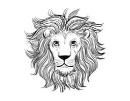 Lion head drawing portrait on white background. Vector design illustration.