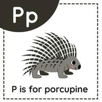 Animal alphabet flashcard for children. Learning letter P. P is for porcupine. vector