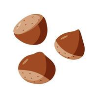 Chestnut vector illustration. Cartoon drawing of chestnut nuts in a shell. Isolated on white.