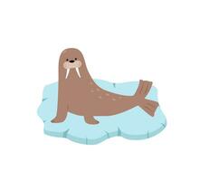 Cute cartoon walrus on an ice floe. Vector illustration arctic animal. Funny character isolated on a white background.