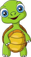 Cute turtle cartoon posing on white background vector