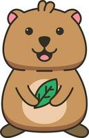 Cute quokka with a leaf. Vector illustration on white background.