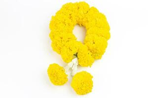 Garland of yellow marigold flowers on white background with copy space for text. photo