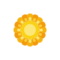 Corn icon. Corn on transparent background. png