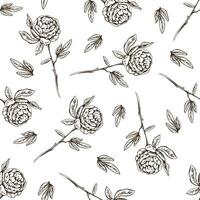 Seamless pattern of hand drawn peony, rose. Monochrome flower doodle. Black and white vintage element. Vector sketch. Detailed retro style.