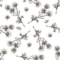 Seamless pattern of hand drawn anemone. Monochrome flower doodle. Black and white vintage element. Vector sketch. Detailed retro style.