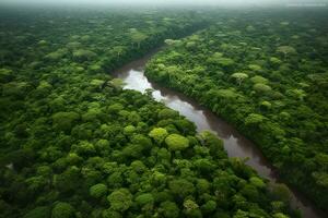 Aerial view of the Amazonas jungle landscape with river bend. Generative AI photo
