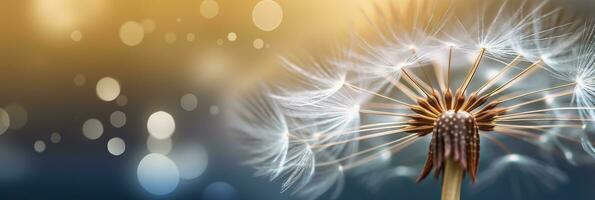 Abstract blurred nature background dandelion seeds parachute. Bokeh pattern. Generative AI photo