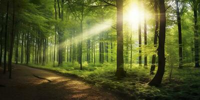 Beautiful rays of sunlight in a green forest. Generative AI photo