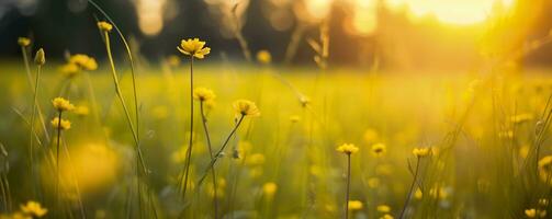 Tranquil spring summer nature closeup and blurred forest background. Generative AI photo