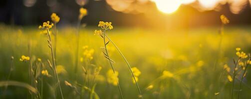 Tranquil spring summer nature closeup and blurred forest background. Generative AI photo