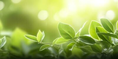 Close up of nature view green leaf on blurred greenery background. Generative AI photo