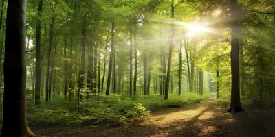 Beautiful rays of sunlight in a green forest. Generative AI photo