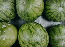 grande dulce verde Fresco sandía en el mercado. frutas antecedentes. favorito verano fruta. foto