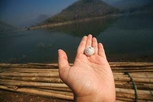 Asian woman Hand holding a snail or nautilus and shellfish near the river and mountain in national park at Thailand photo