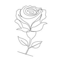 Continuous one line rose flower  outline vector art drawing