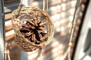 Pine cones in a woven basket is hanging on vintage wall photo