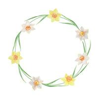 Watercolor Wreath of yellow and white daffodils. Hand painted illustration with spring flowers vector, frame for invitation. vector