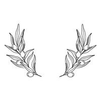 bosquejo guirnalda de aceituna rama con bayas y hojas. mano dibujado vector línea Arte marco ilustración. negro y blanco dibujo de el símbolo de Italia o griego para tarjetas, diseño logo, tatuaje.