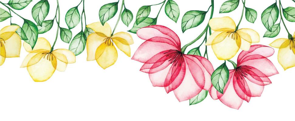 watercolor pattern, seamless border of transparent rose flowers in pink and yellow. delicate x-ray banner