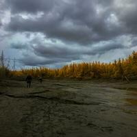 un camino a lo largo el cama de un secado del Norte río en contra el antecedentes de un otoño bosque foto