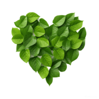 ai generative shaped icon made of green leaves isolated on transparent background png