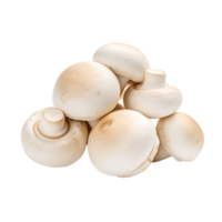 ai generative Champignons isolated on transparent background. png