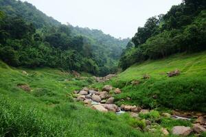 frescura paisaje para agua otoño y corriente fluido mediante rocas en tropical lluvia bosque y verdor salvaje selva. Khao chong lom a nakhonnayok provincia, Tailandia foto