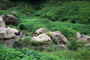 Freshness landscape for  water fall and Stream flowing through rocks in tropical rain forest and greenery wild jungle. photo