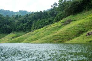 Beautiful landscape for river with tropical rain forest and wild jungle in Thailand photo