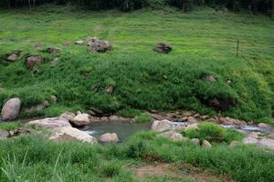 Freshness landscape for  water fall and Stream flowing through rocks in tropical rain forest and greenery wild jungle. Khao Chong Lom at Nakhonnayok province, Thailand photo