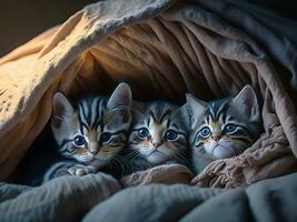 A group of adorable kittens cuddled up together in a cozy blanket fort, Ai generate photo