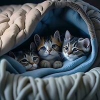 A group of adorable kittens cuddled up together in a cozy blanket fort, Ai generate photo