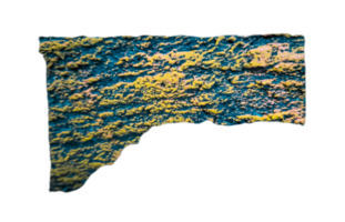 Close up texture of tree bark isolated on transparent background for using text box. png