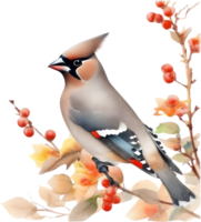 Watercolor paintings of colorful Bohemian waxwing birds.  Ai-Generated. png