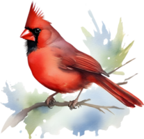 Watercolor paintings of colorful Northern cardinal birds.  Ai-Generated. png