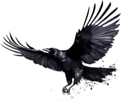 Watercolor paintings of a black crow bird.  Ai-Generated. png