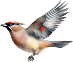 Watercolor paintings of colorful Bohemian waxwing birds.  Ai-Generated. png