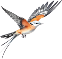 Watercolor paintings of colorful Scissor-tailed flycatcher birds.  Ai-Generated. png