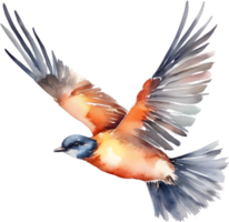 Watercolor paintings of colorful birds.  Ai-Generated. png