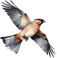 Watercolor paintings of colorful Bohemian waxwing birds.  Ai-Generated. png