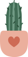 cactus plant in a pot clipart png