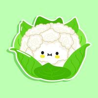 Cauliflower sticker character. Vector hand drawn cartoon kawaii character illustration icon. Isolated on green background. Cauliflower character concept