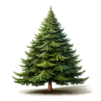 Green cartoon Christmas tree isolated png